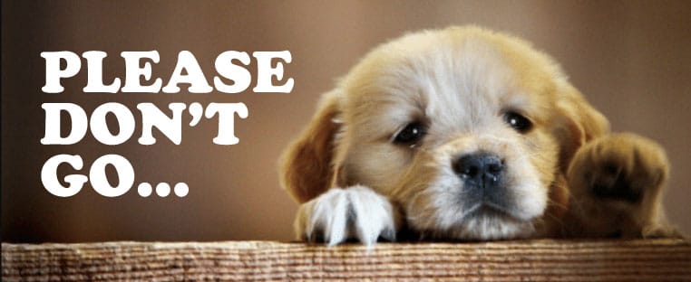 Sad-eyed puppy resting on a wooden ledge with the words Please don't go...