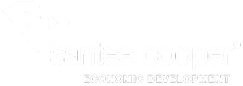Santee Cooper case study