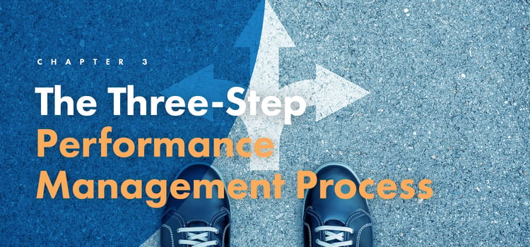 Chapter 3: The Three-Step Performance Management Process