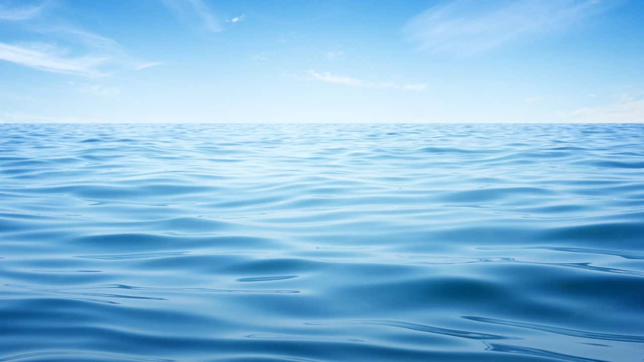 The Blue Ocean Strategy Summary With 3 Examples